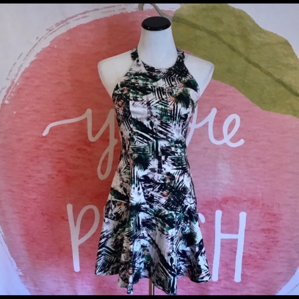 Parker palm tree dress Super cute medium worn once